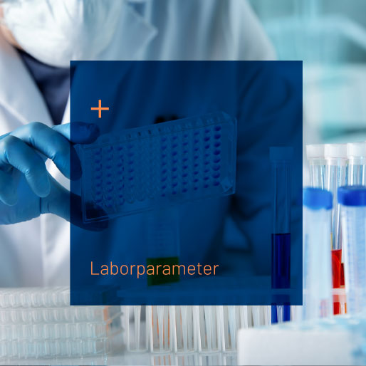 Laborparameter