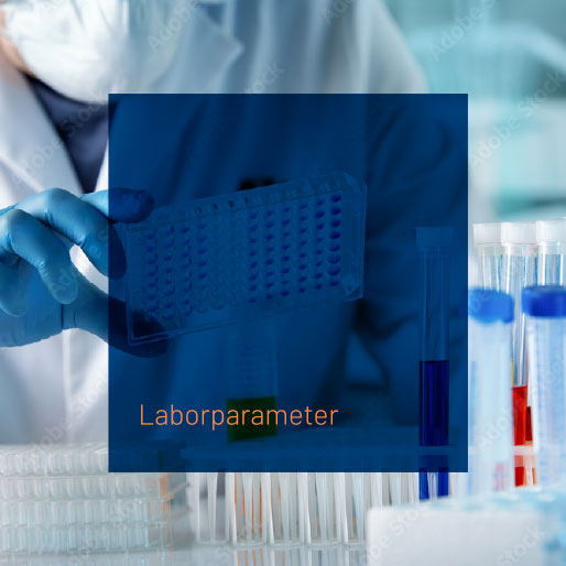 Laborparameter