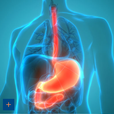 Laborgemeinschaft Bayerischer Heilpraktiker - Gastroenterologie