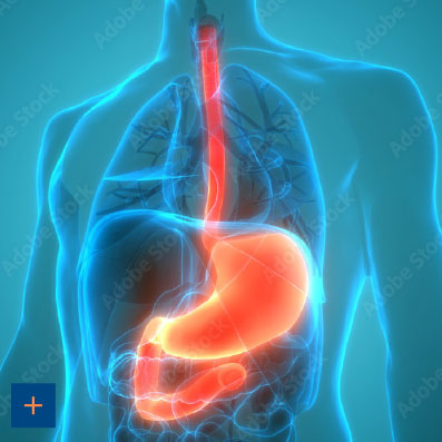 Laborgemeinschaft Bayerischer Heilpraktiker - Gastroenterologie