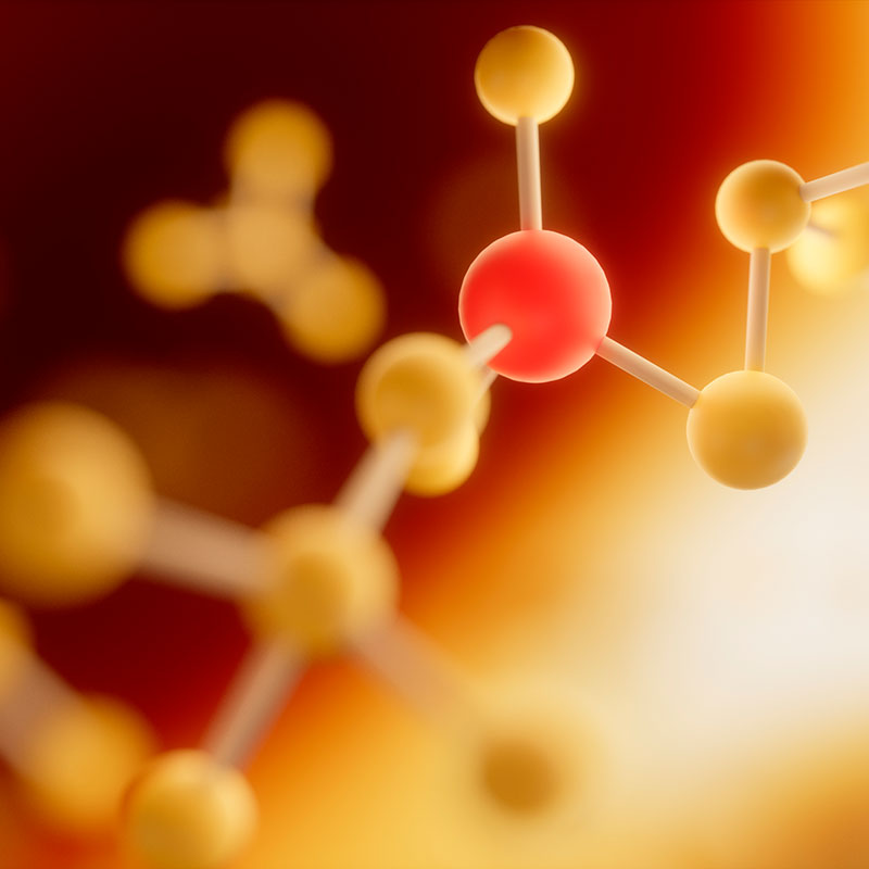 Thust Akademie - Orhomolekulare Medizin